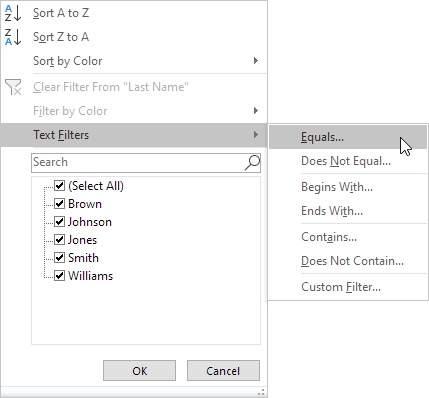 Text Filters in Excel