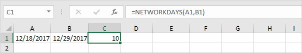 Networkdays Function